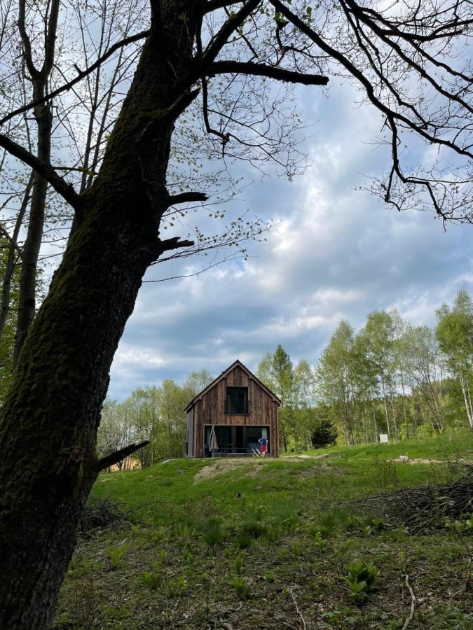 Mlynowiec 4Rest Stronie Śląskie Extérieur photo